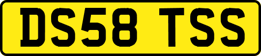 DS58TSS