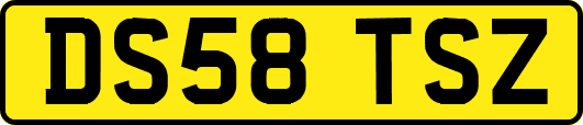 DS58TSZ