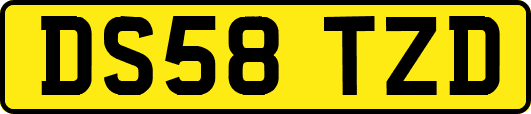 DS58TZD