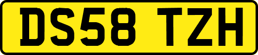 DS58TZH