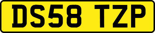 DS58TZP