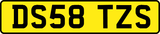 DS58TZS