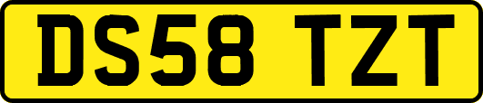 DS58TZT