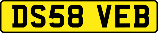 DS58VEB