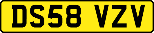 DS58VZV