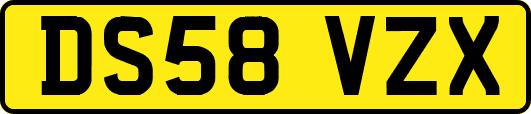 DS58VZX