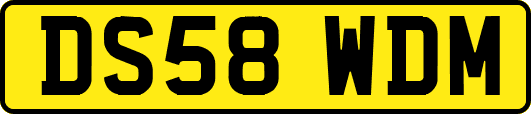 DS58WDM