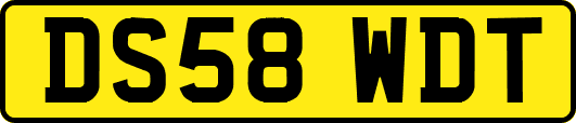DS58WDT