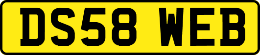 DS58WEB