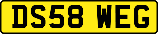 DS58WEG