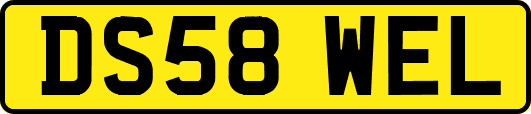 DS58WEL