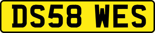 DS58WES
