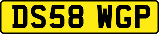 DS58WGP