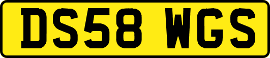 DS58WGS