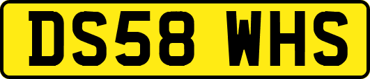 DS58WHS