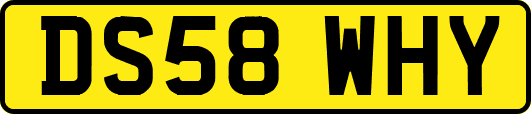 DS58WHY