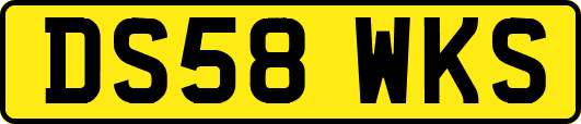 DS58WKS