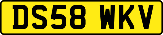 DS58WKV