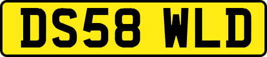 DS58WLD