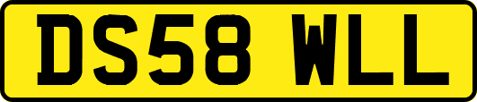 DS58WLL