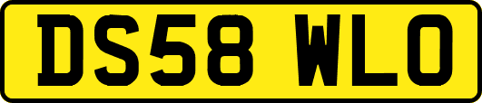 DS58WLO