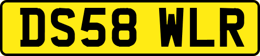 DS58WLR