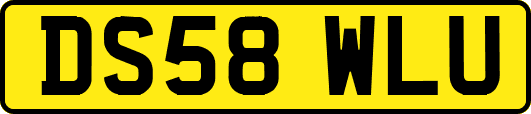 DS58WLU