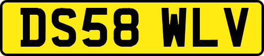 DS58WLV
