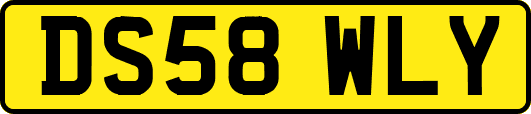 DS58WLY