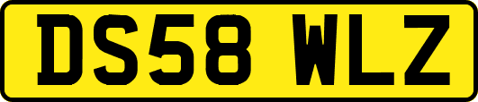 DS58WLZ