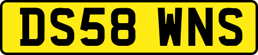 DS58WNS