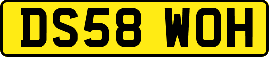 DS58WOH