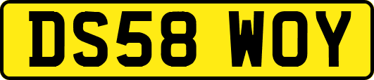 DS58WOY