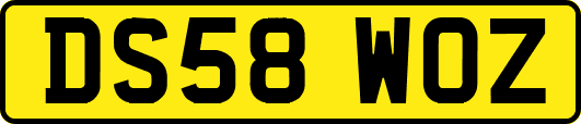 DS58WOZ