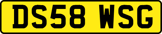 DS58WSG