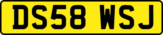 DS58WSJ