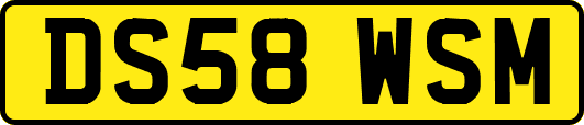 DS58WSM