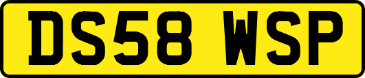 DS58WSP