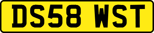 DS58WST