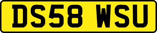 DS58WSU