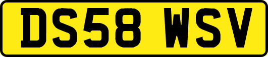 DS58WSV