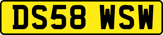 DS58WSW