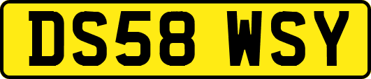 DS58WSY