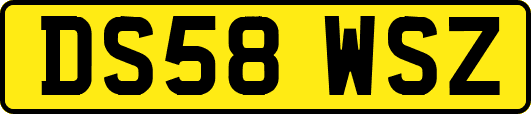 DS58WSZ