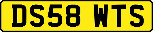 DS58WTS