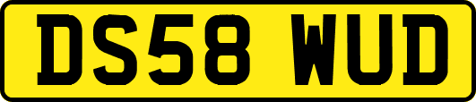 DS58WUD