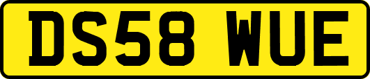 DS58WUE