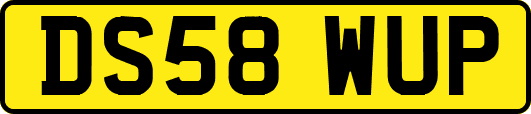 DS58WUP