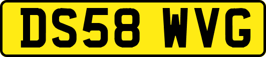 DS58WVG