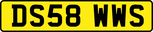 DS58WWS